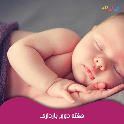 هفته دوم بارداری