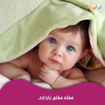 هفته هفتم بارداری