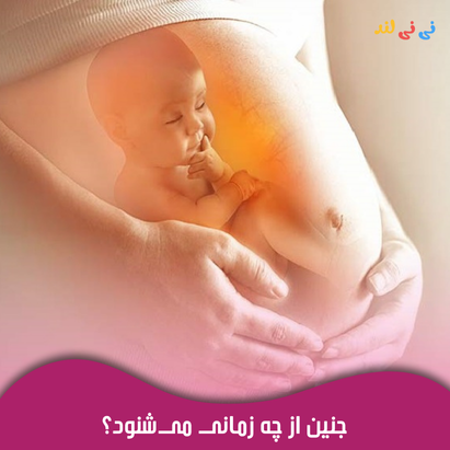 جنین از چه زمانی می شنود؟ همه چیز درباره رشد شنوایی در رحم جنین از چه زمانی می شنود؟ همه چیز درباره رشد شنوایی در رحم