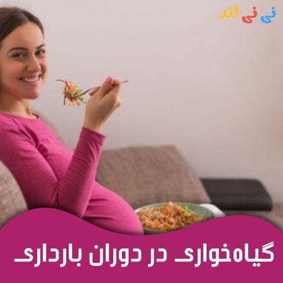 برنامه غذایی گیاهخواری در دوران بارداری