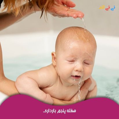 هفته پنجم بارداری